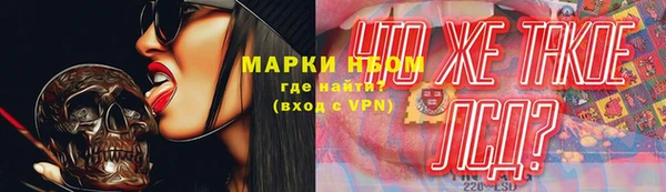 сатива Аркадак