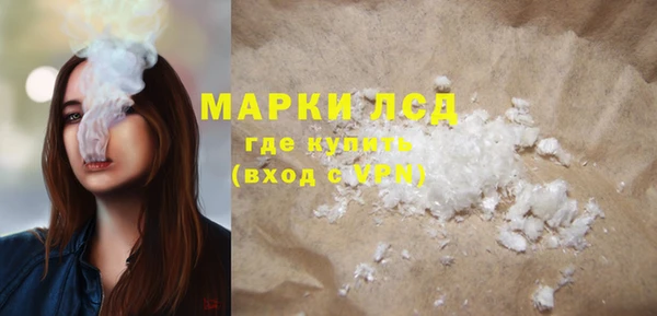 сатива Аркадак