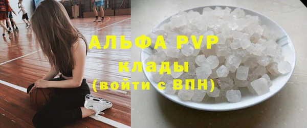 сатива Аркадак