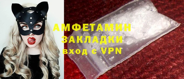 гидра Арсеньев