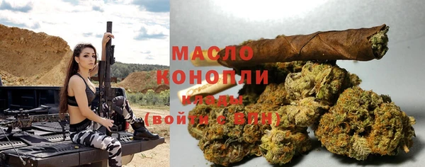 сатива Аркадак