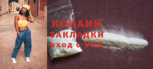гидра Арсеньев