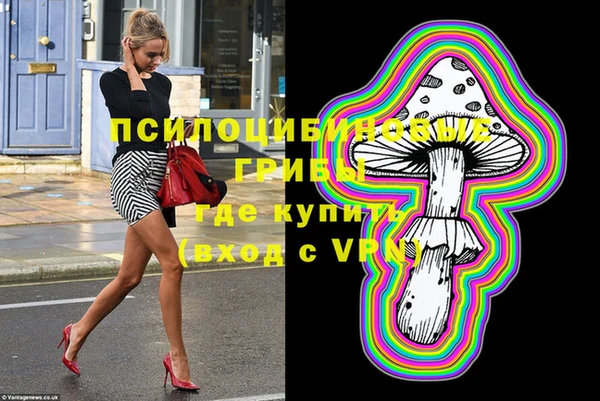 гидра Арсеньев