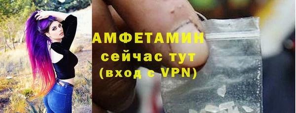 сатива Аркадак