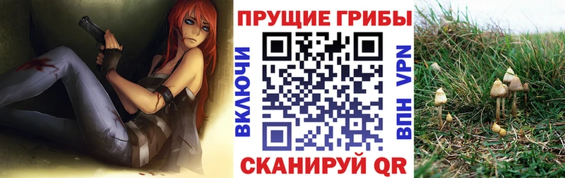 Галлюциногенные грибы Cubensis  Колпашево 